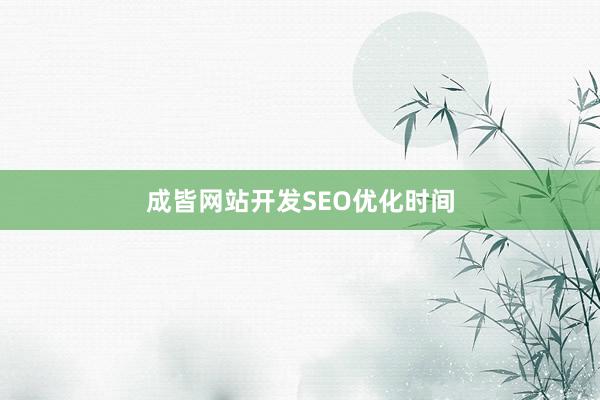 成皆网站开发SEO优化时间