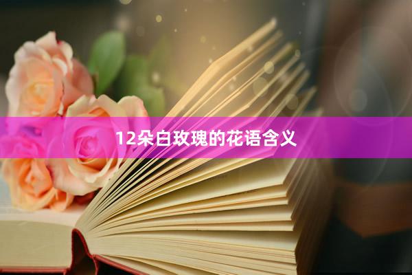 12朵白玫瑰的花语含义
