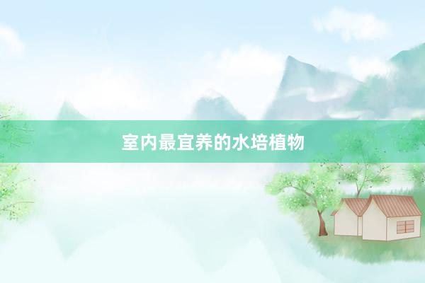 室内最宜养的水培植物