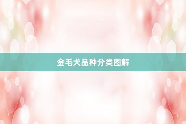 金毛犬品种分类图解